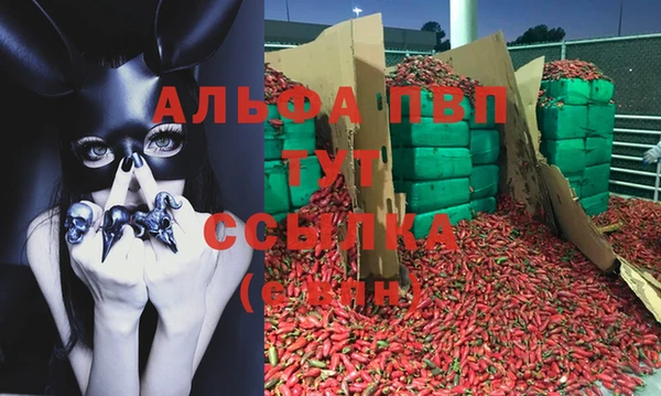эйфоретик Армянск